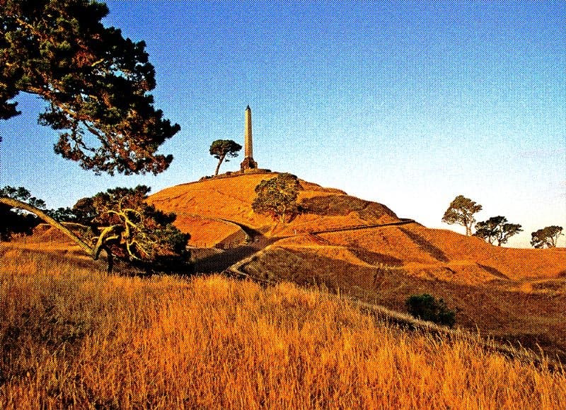 One-Tree