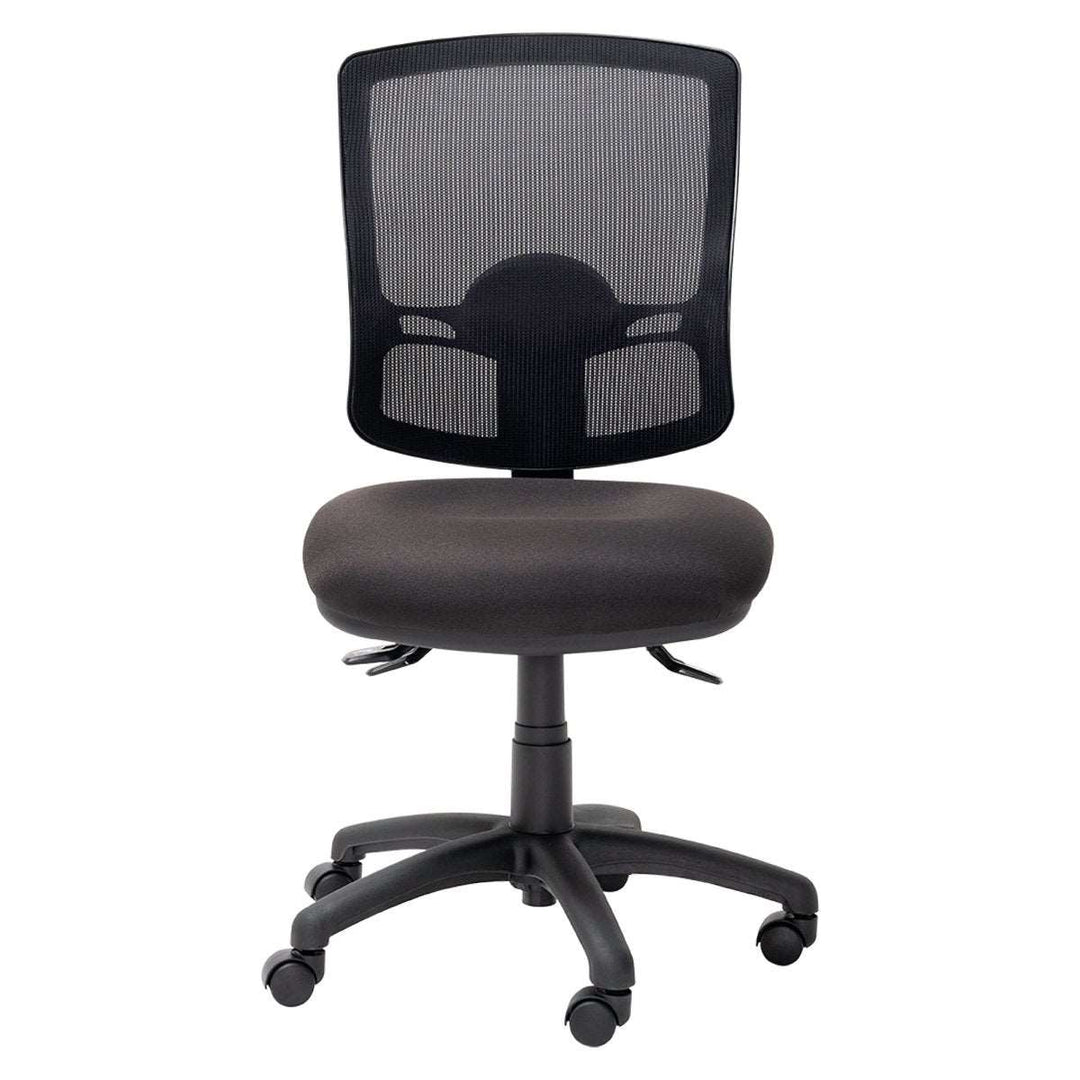 Mondo Java Mesh HB - Home Office Space NZ