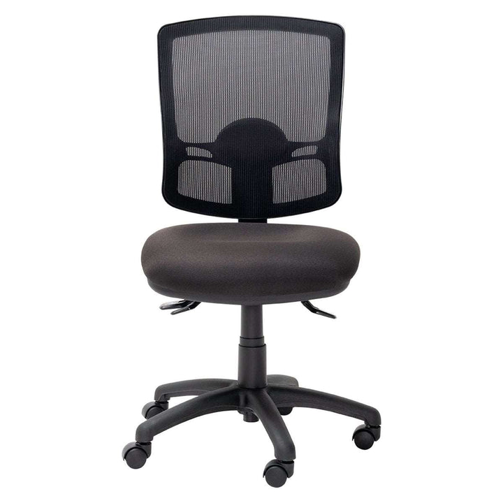 Mondo Java Mesh HB - Home Office Space NZ