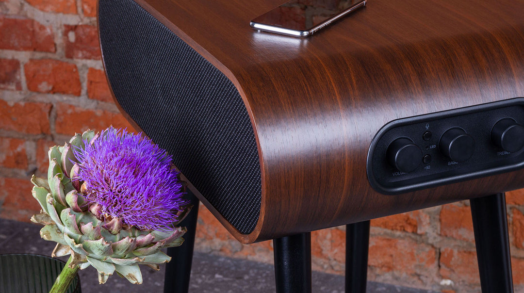 The MySound Jazz Speaker Side-Table by Home Office Space NZ, featuring black mesh and control knobs, leans against a brick wall. It acts as an integrated sound system and smartphone holder. An artichoke with a vibrant purple bloom adds a natural touch nearby.