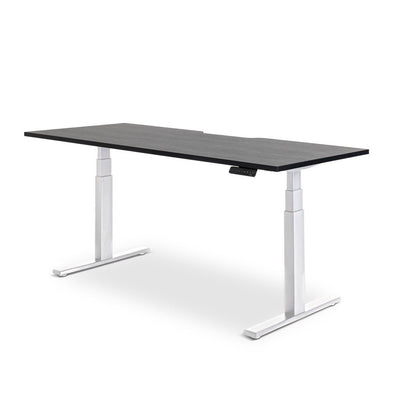 Enhance electric height-adjustable desk: Modern electric standing desk with USB charging port, white frame and black top.