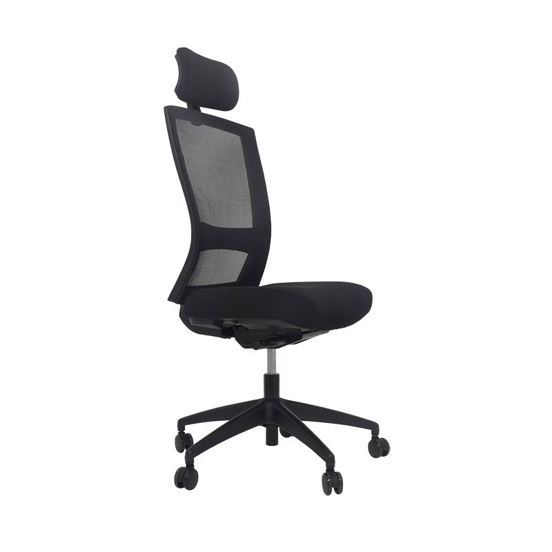Mentor Mesh Back with Nylon Base - Home Office Space NZ