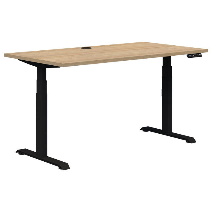 Summit II Single Electric Desk (Height Adjustable) - Home Office Space NZ